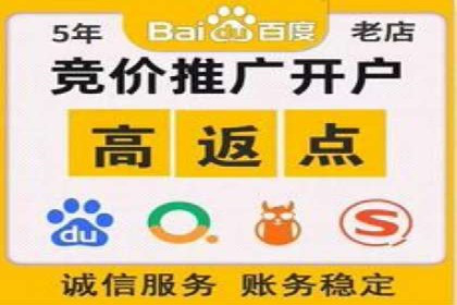 抖音信息流代理在电商行业的应用案例分析